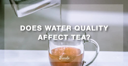 Tea Brew Guide: How Water Quality Affects Flavors & Clarity