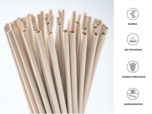 Bamboo Fiber Straw - Individually Wrapped