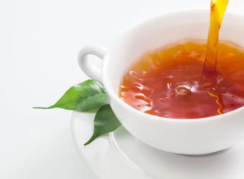 Quick Guide : The Art of Steeping Tea