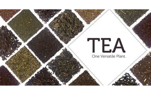 Tea - One Versatile Tree
